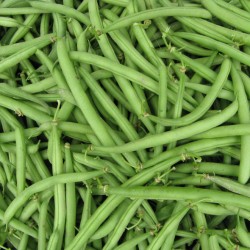 Haricots Verts